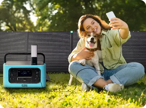 Pure Sine Wave Inverter